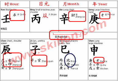 How To Read Four Pillars Chart